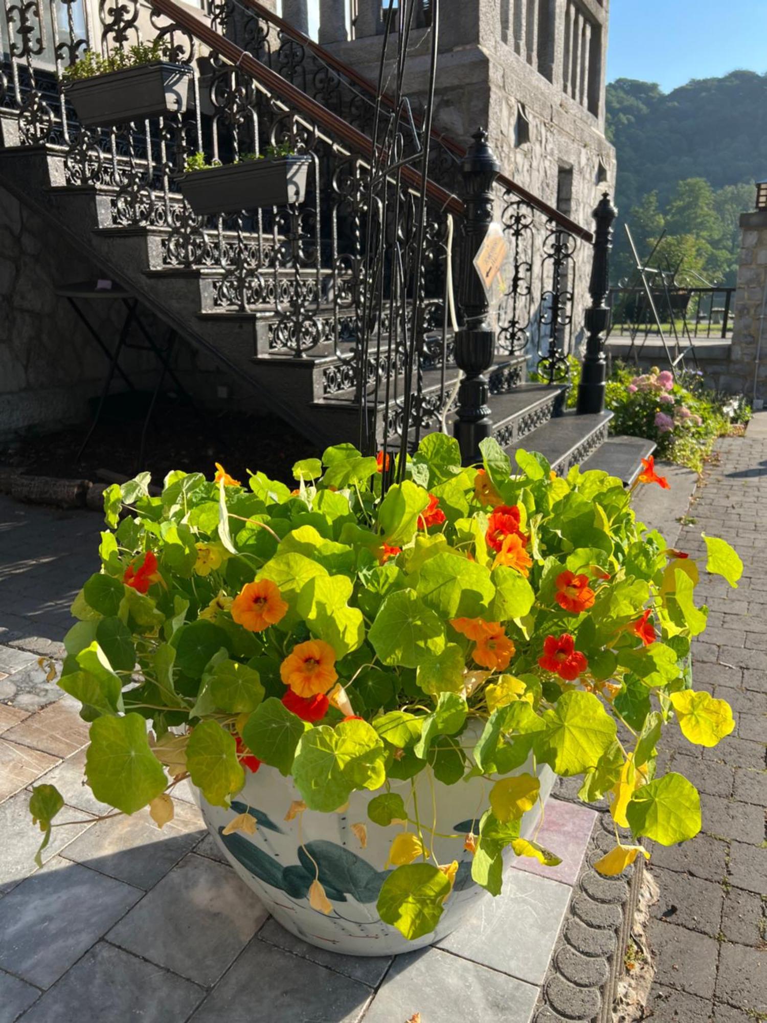 Mes Caprices B&B Villa Mosan Bord De Meuse Namur Dış mekan fotoğraf